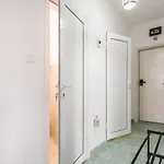 Bright And Comfy Place *